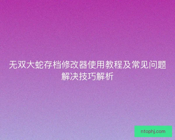 无双大蛇存档修改器使用教程及常见问题解决技巧解析
